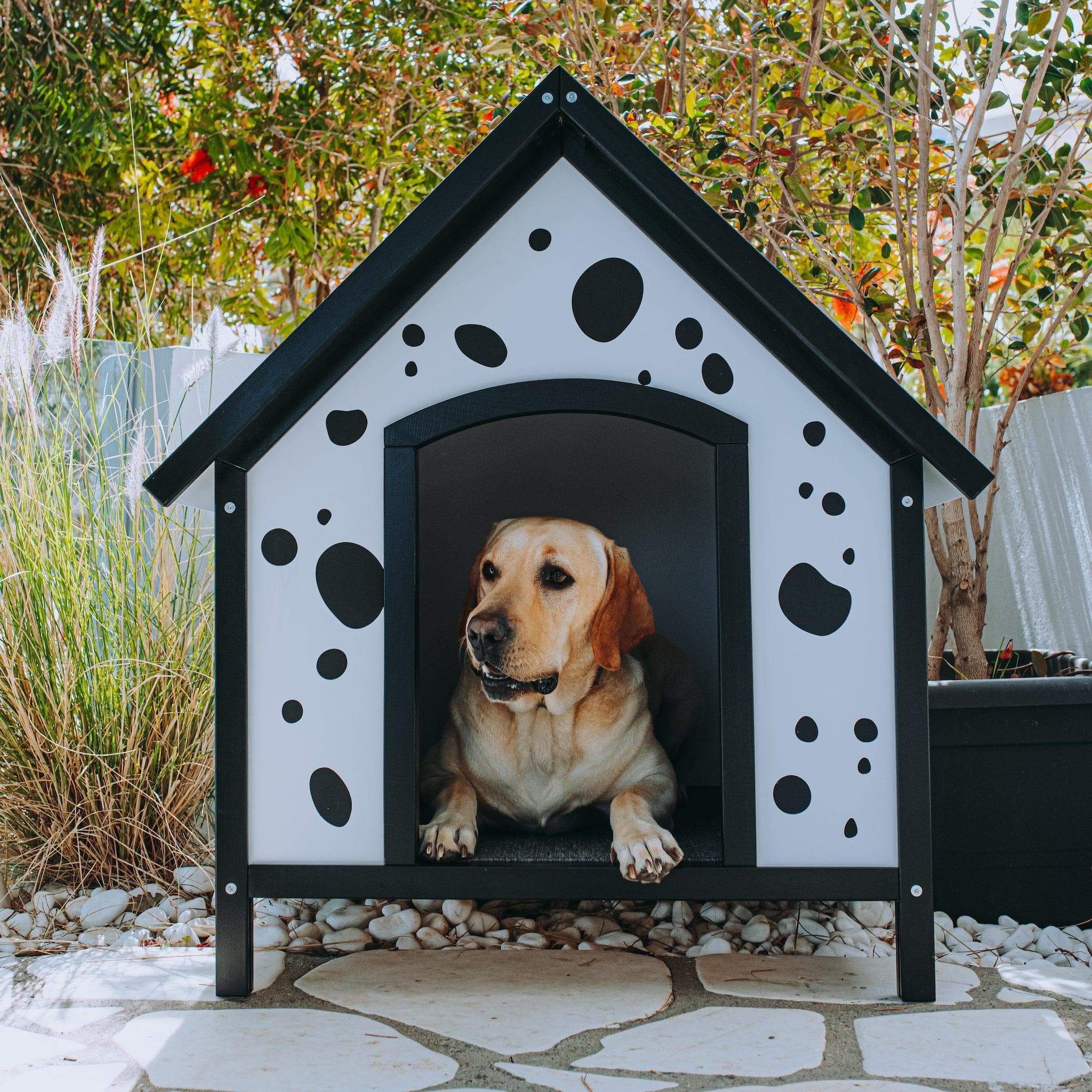 Dog House Santorini Outdoor
