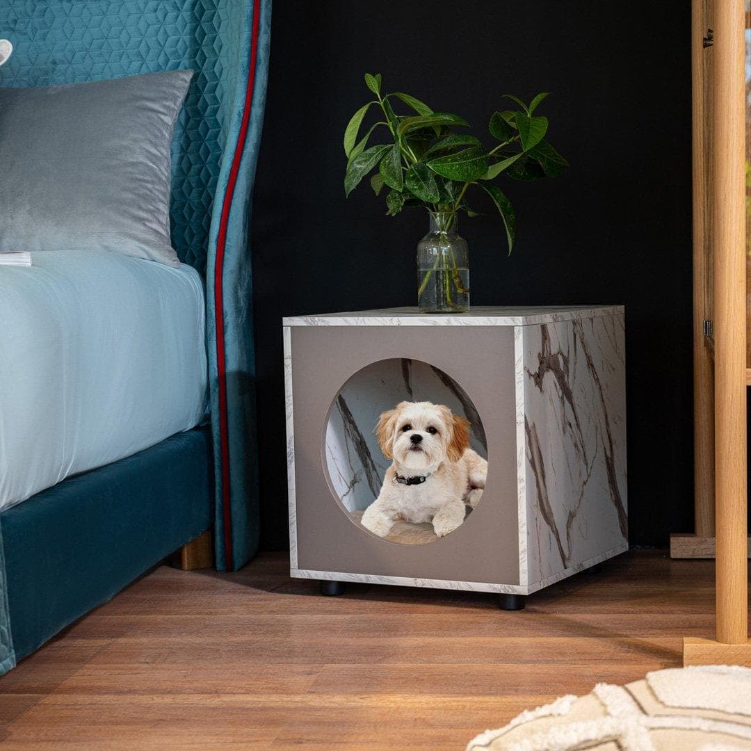 Dog House Kos