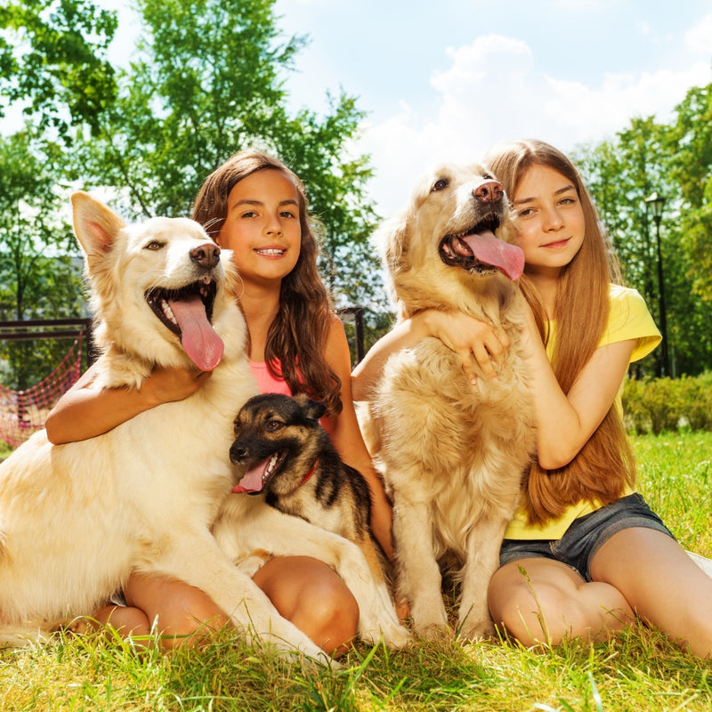 The Benefits of Pet Ownership for Children