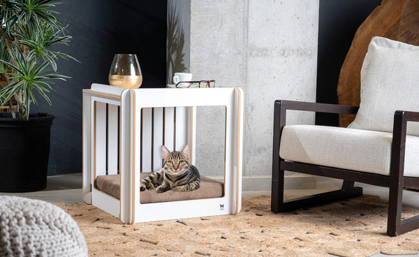 Cat Bed - Coffee & side table