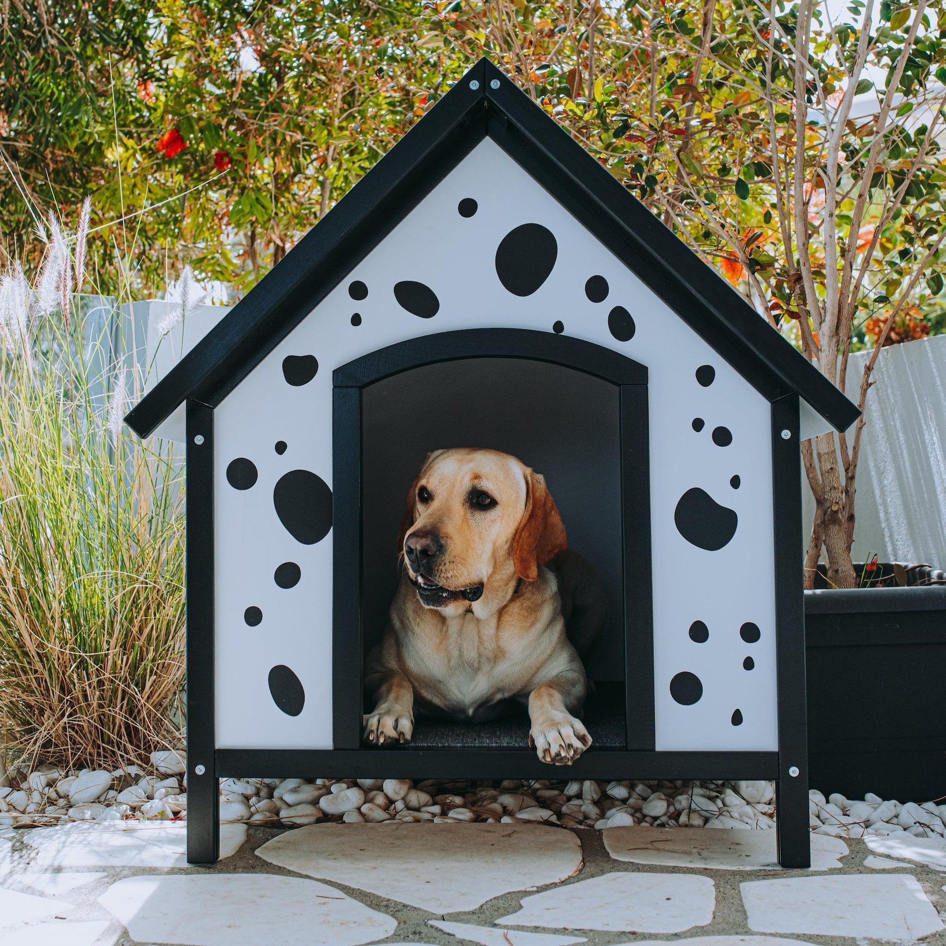 Outdoor Dog House Santorini Green Large