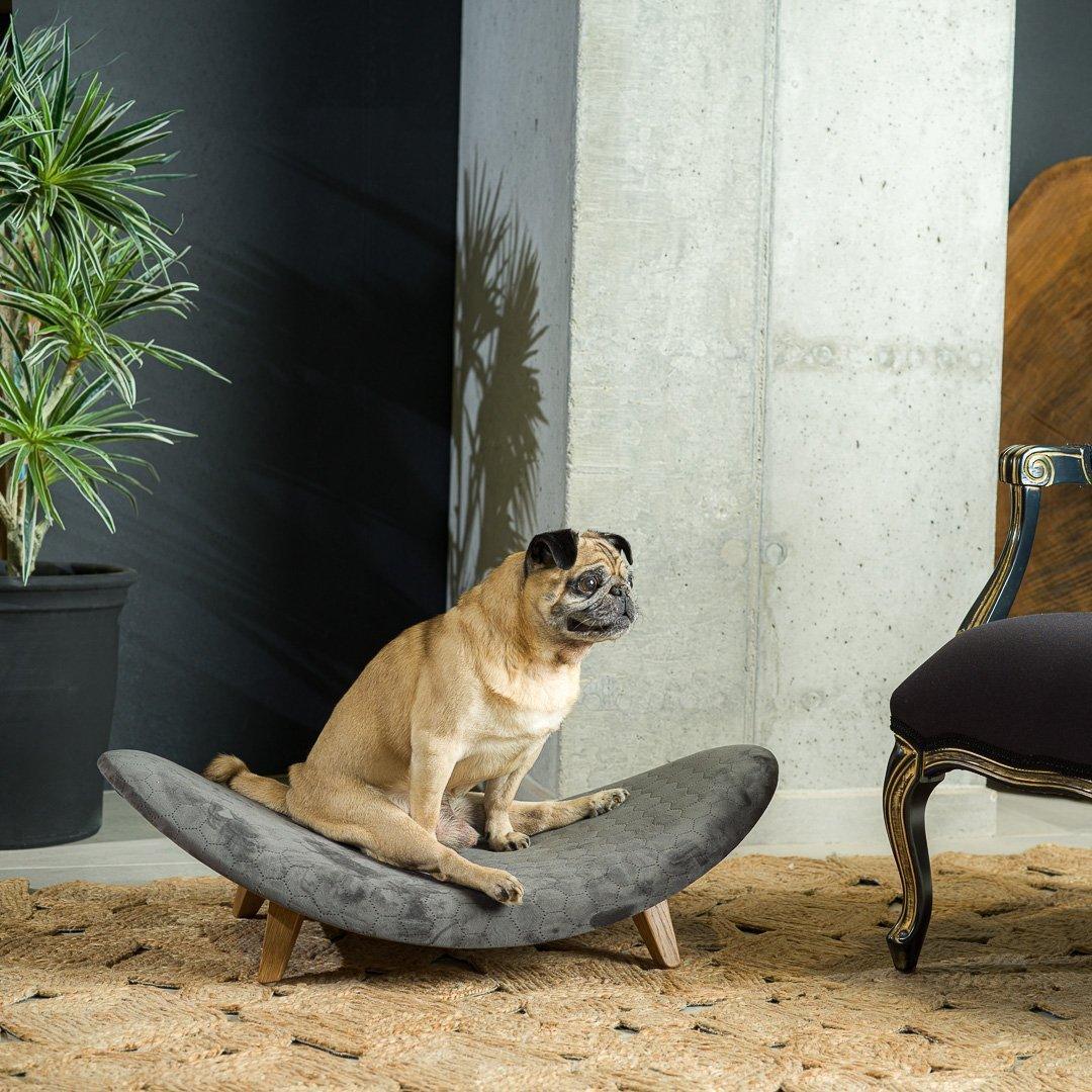 Dog Bed Chrysi - Dog Beds - Luxury Dog House - ewoodcollection.com